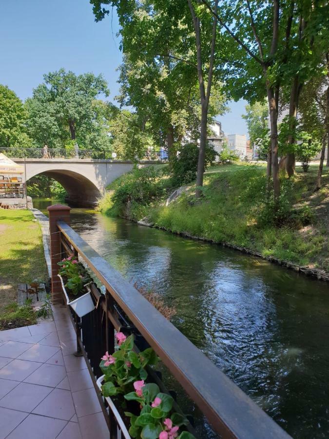 Kamienica Gorna 7 Leilighet Olsztyn  Eksteriør bilde